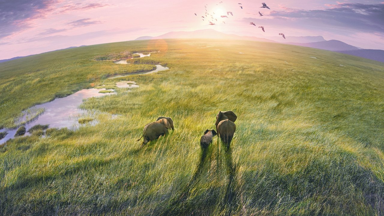 Planet Earth III - Spanish TV show backdrop