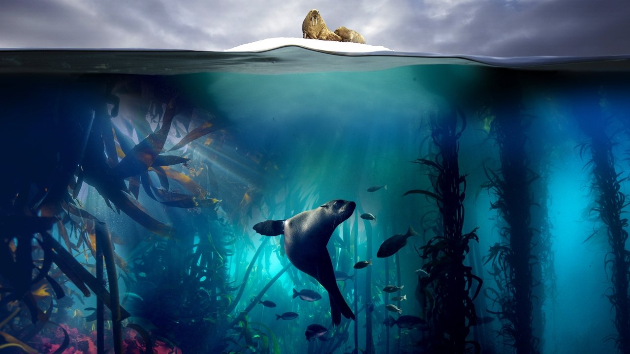 Blue Planet II - Spanish TV show backdrop
