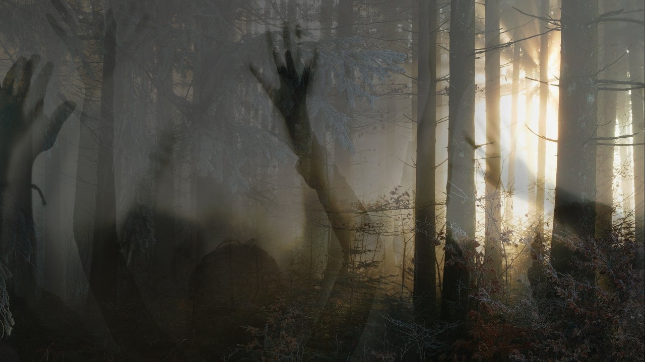 Paranormal Survivor - Spanish TV show backdrop