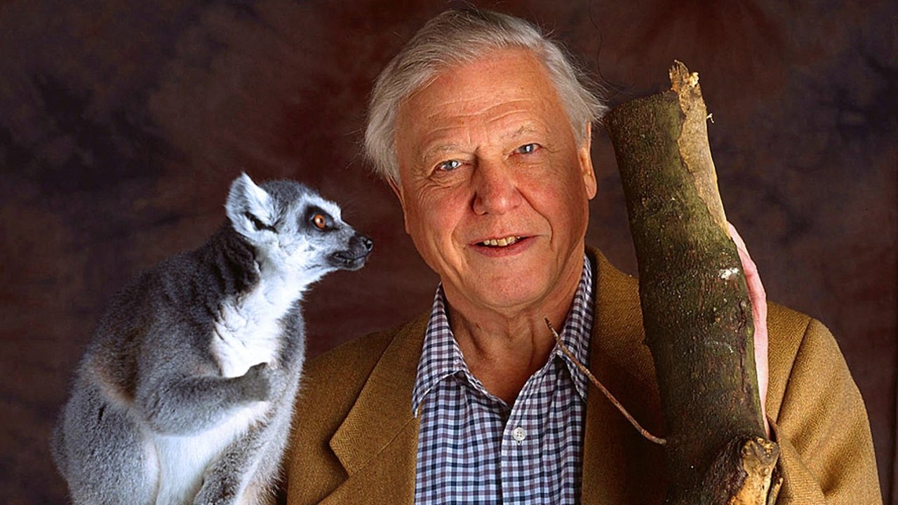 The Life of Mammals - Spanish TV show backdrop