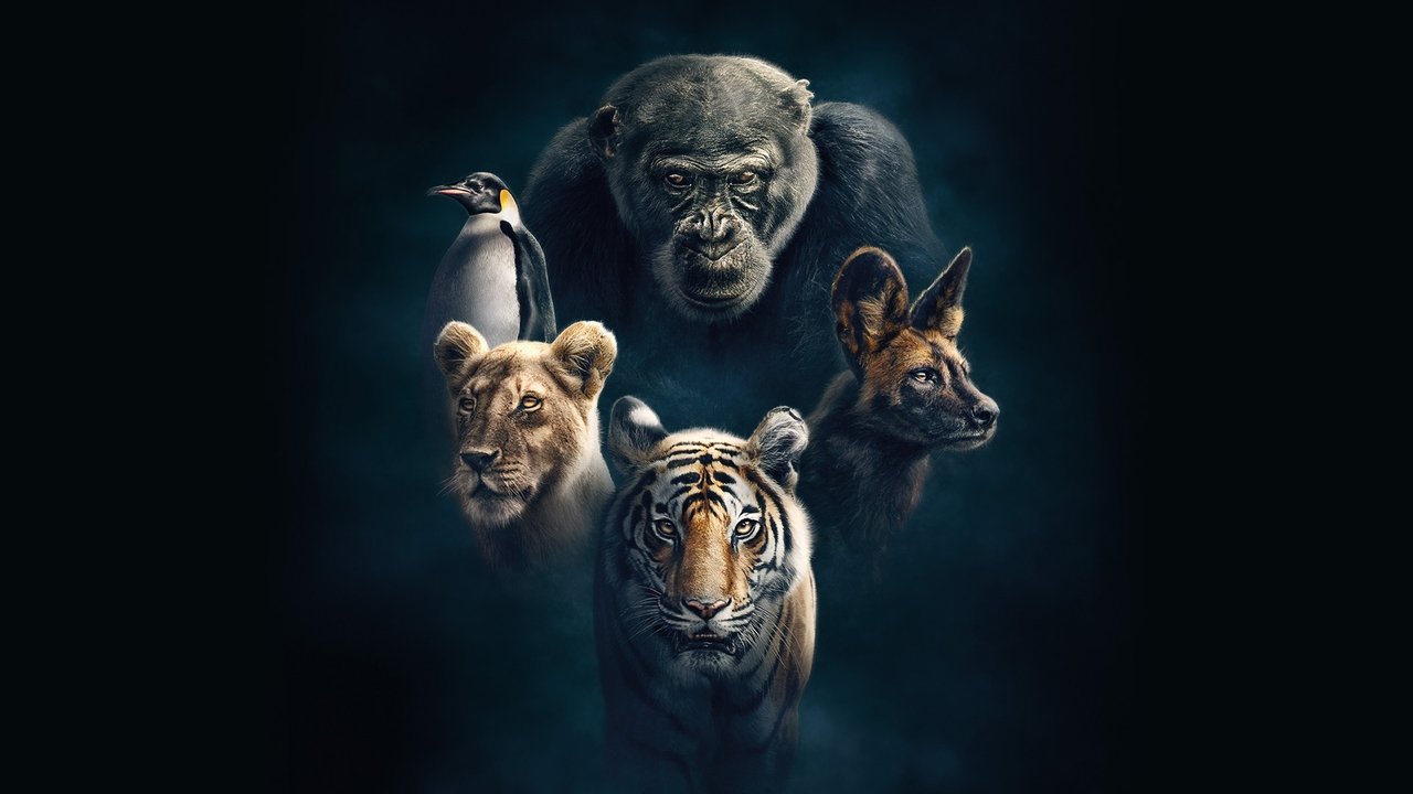 Dynasties - Spanish TV show backdrop