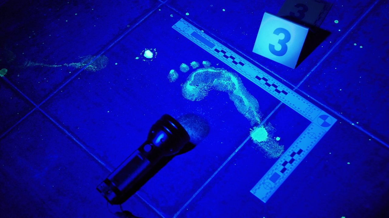 Forensic Files - Spanish TV show backdrop