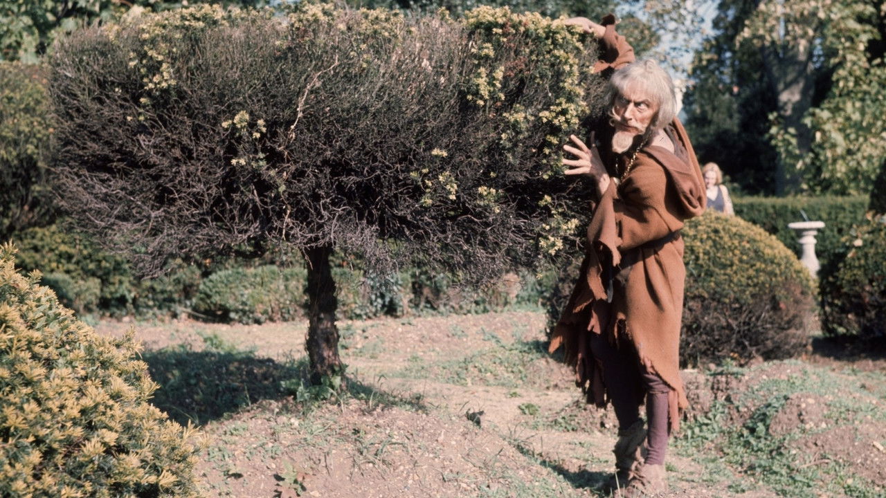 Catweazle - Spanish TV show backdrop
