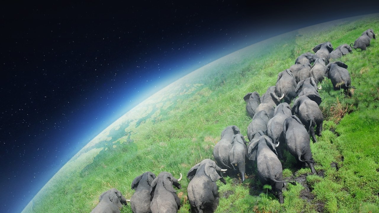 Planet Earth - Spanish TV show backdrop